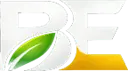 Groupe BE